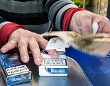 В Астрахани полиция по горячим следам накрыла табачных воров