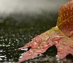 В четверг в Астрахани снова будет дождливо