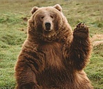 Астраханская «Единая Россия» перезагружается