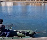 С Лебединого озера в Астрахани собрали «урожай» мусора