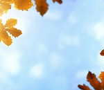 Сегодня в Астрахани ожидается весеннее тепло, но ветер будет сносить