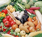 В Астраханской области вырастили почти 900 тонн овощей и картофеля