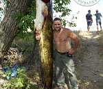 В Астраханской области рыбак поймал и показал сома-монстра