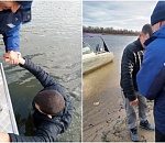В Астраханской области спасли в реке мужчину, тонувшего в километре от спасательной станции