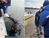 В Астраханской области спасли в реке мужчину, тонувшего в километре от спасательной станции