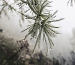 Туман и изморозь: погода в Астрахани на 2 февраля