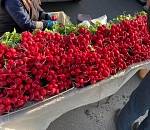 Астраханцев приглашают на ярмарку, где можно купить и поесть рыбу