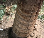 Астраханцы боятся электрического столба, который держится на добром слове возле школы