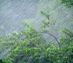 Штормовое предупреждение: завтра в Астрахани гроза и сильный ветер