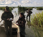 Сезон охоты на дичь в Астраханской области не проходит без нарушений