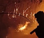 Пожар в Астраханском заповеднике поставил под угрозу нерест