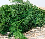 На астраханской границе задержали укроп