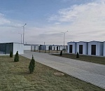 В астраханском приюте для собак посадили туи