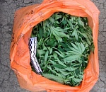 Астраханец пытался убедить патрульных, что им привиделся пакет 