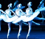 В Астрахани на Лебедином озере балерины исполнят танец маленьких лебедей