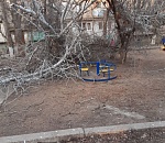 В Астрахани на детскую площадку упало огромное дерево, едва не задев детей
