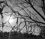 На севере Астраханской области убийцу друга приговорили к 9 годам строгача