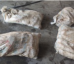 В Каспии два астраханца наловили осетров на 10 миллионов