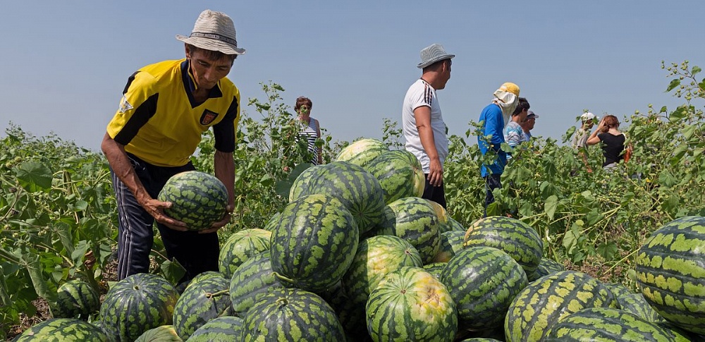 Патент для гастарбайтера становится дороже