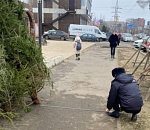 В Астрахани елочных «контрабандистов» наловили единицы