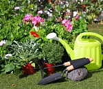 С завтрашнего дня астраханцам можно ездить на дачу, но по разовым пропускам