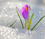 Астраханская погода в марте