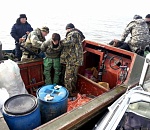 Новая перестрелка на Каспии: у задержанных браконьеров изъяли 155 килограмм осетра и морского тюленя