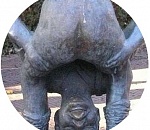 В Астрахани появится "Веселье"