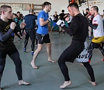 В Астраханской области намерены ввести обязательное лицензирование для всех клубов боевых искусств