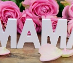 Среди астраханок выберут тревел-, фешн-, бьюти- и фуд-маму