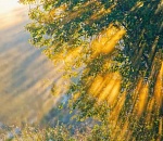 Завтра на Астрахань сойдет благодать