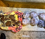 Оперативники задержали двух астраханцев, у которых оказалось почти 9 кг героина