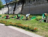 В Астрахани на улицы вышли косари и озеленители