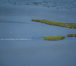 Росводресурсы добавили Астраханской области воды 