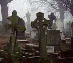 В Астрахани на кладбище нашли тайник