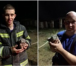 Астраханские пожарные спасли краснокнижную птицу из горящего здания