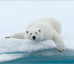 В Астрахани и области ожидается похолодание