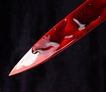 В Астраханской области поход пары в гости закончился кровавой трагедией