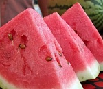 От жары на юге России астраханские арбузы будут слаще обычного