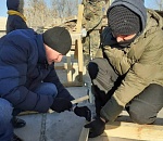 Астраханцы устроили субботник и колотили будки для бездомных собак