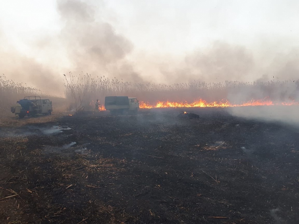 В Астраханском заповеднике ликвидируют пожар