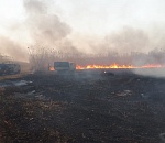 В Астраханском заповеднике ликвидируют пожар
