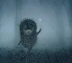 Ёжики в тумане: какая погода ждёт астраханцев в эту субботу