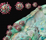 В Астраханской области уже у восьми человек положительный тест на коронавирус