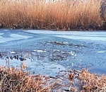 В астраханском райцентре супруги спасли провалившихся под лед двоих детей