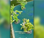 Астраханка показала, что стало с новой набережной после атаки вандалов 