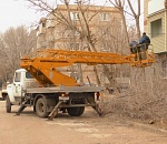 Астраханцы удивились реакции врио губернатора на просьбу спилить аварийные деревья