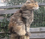 Астраханцев ждет прохладная и ветреная суббота