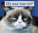 Снова в минусе: Как на рейтинг Астраханской области повлияли коррупция и "Волгарь"
