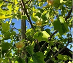 Александр Жилкин поделился планами на отпуск